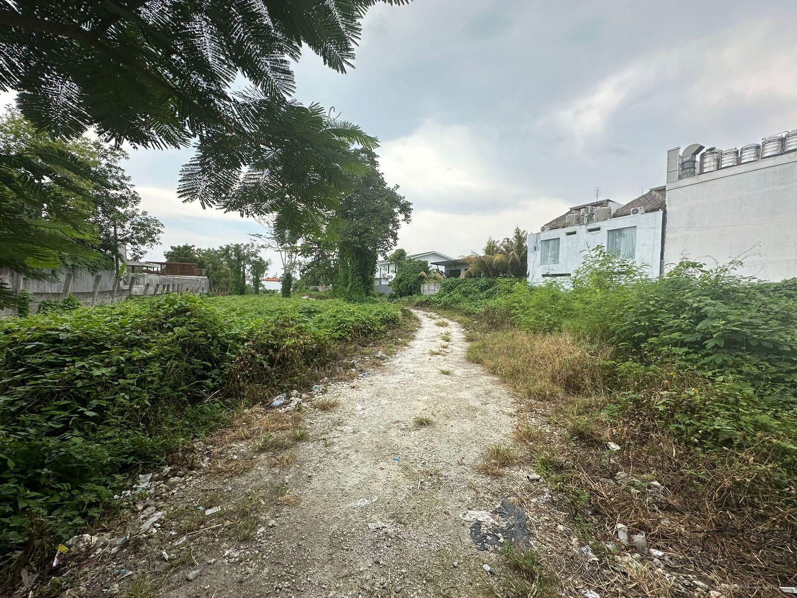 Tanah premium berawa canggu