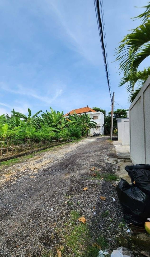 Tanah Padang Linjong Canggu Badung Bali