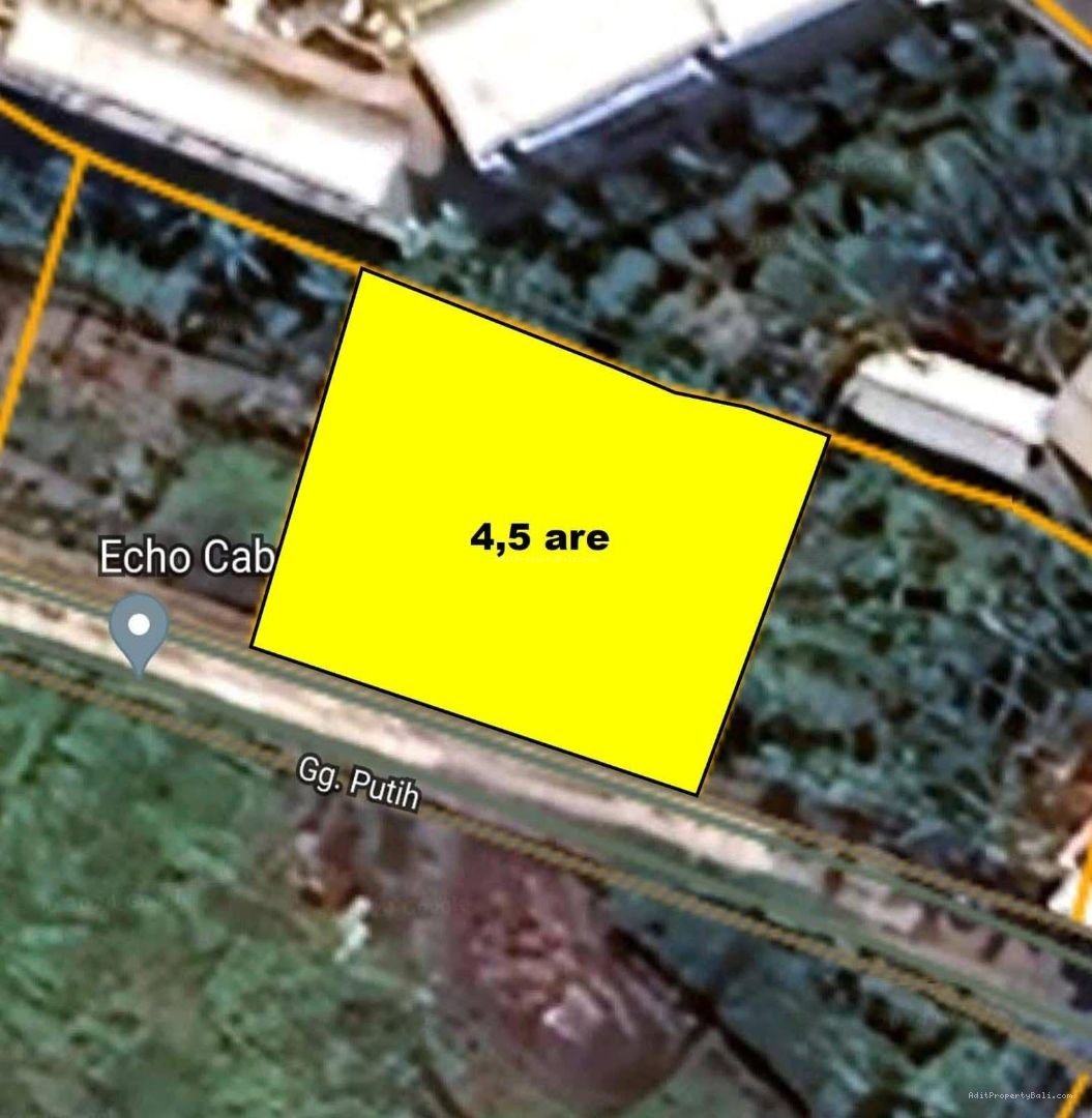 Tanah Padang Linjong Canggu Badung Bali