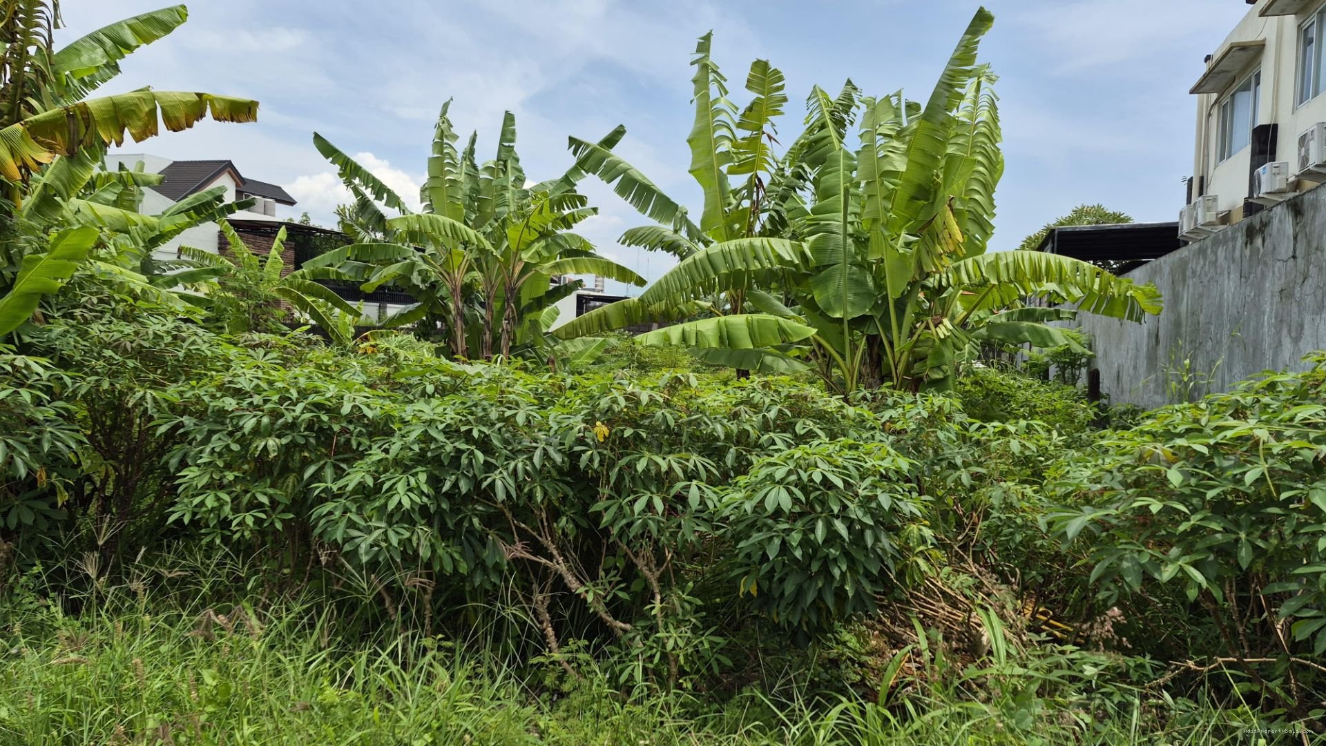 Tanah Premium Badak Agung Renon Denpasar