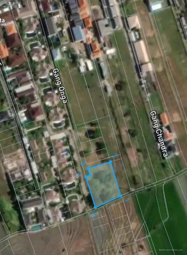 Tanah Bumbak Kerobokan Badung