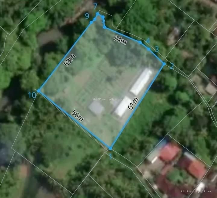 Tanah Los Sungai Kedungu Kediri Tabanan Bali