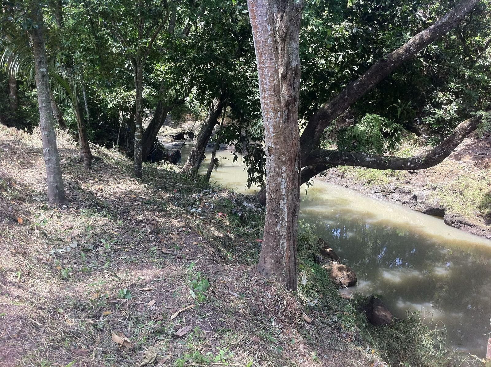 Tanah Los Sungai Kedungu Kediri Tabanan Bali