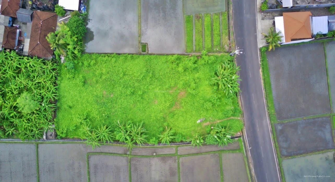Tanah pangkung tibah tabanan bali