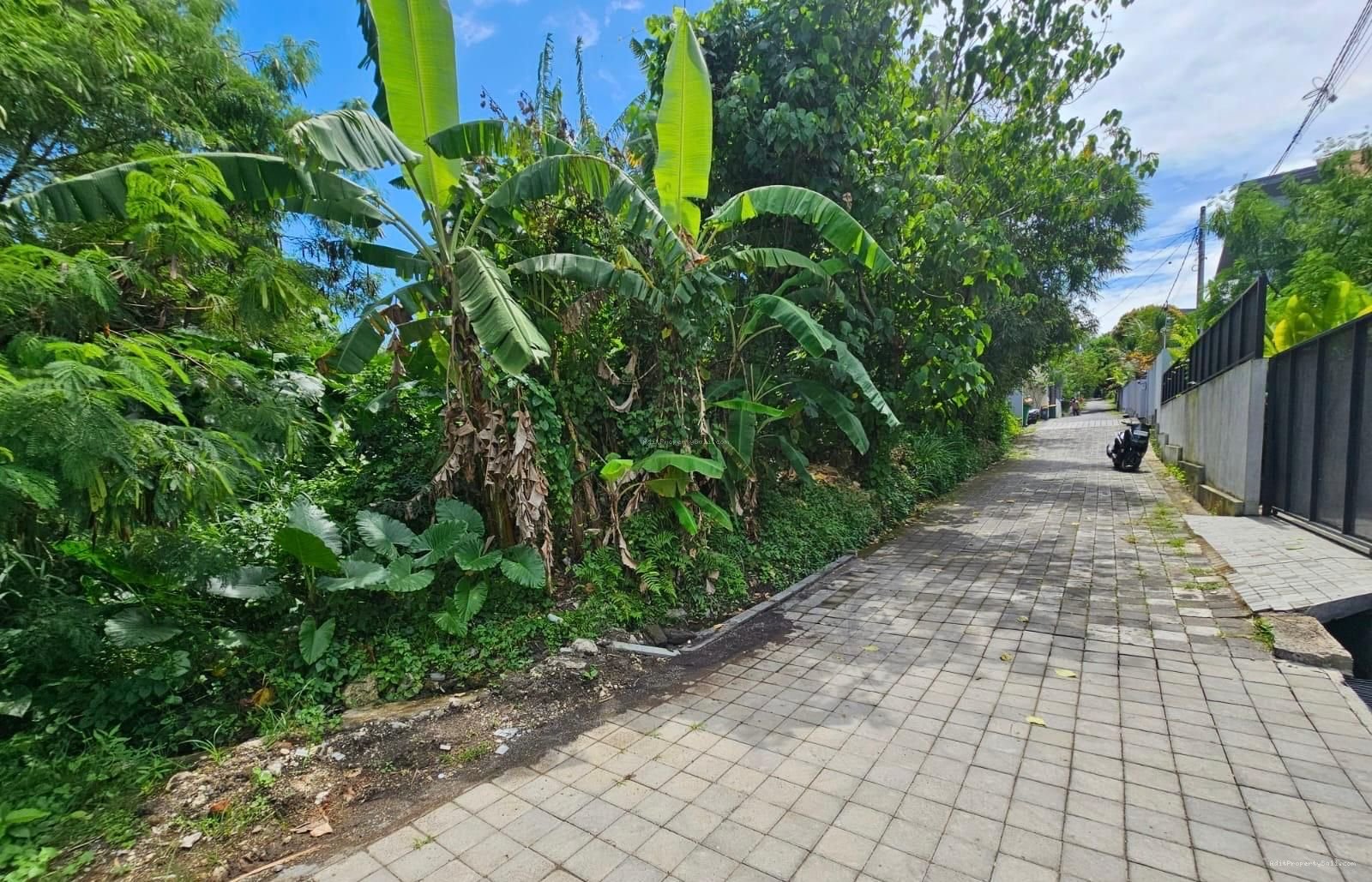 Tanah Padang linjong canggu