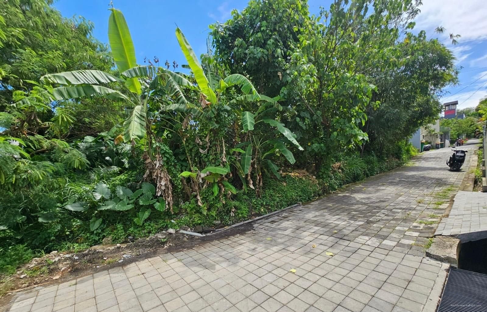 Tanah Padang linjong canggu