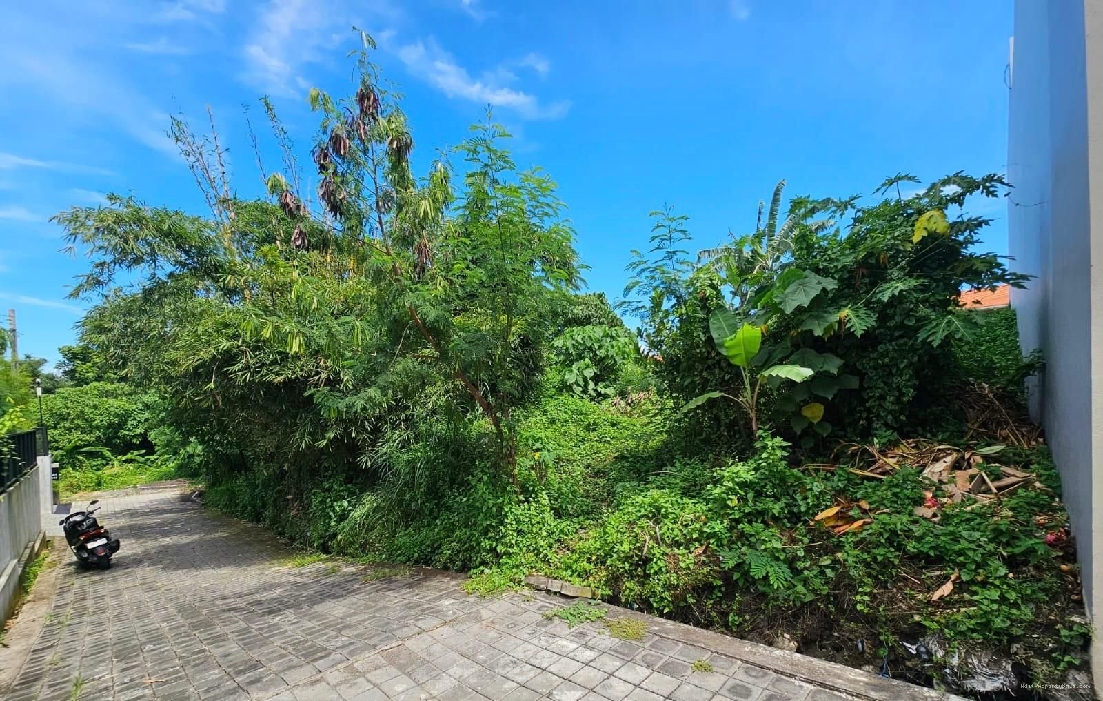 Tanah Padang linjong canggu