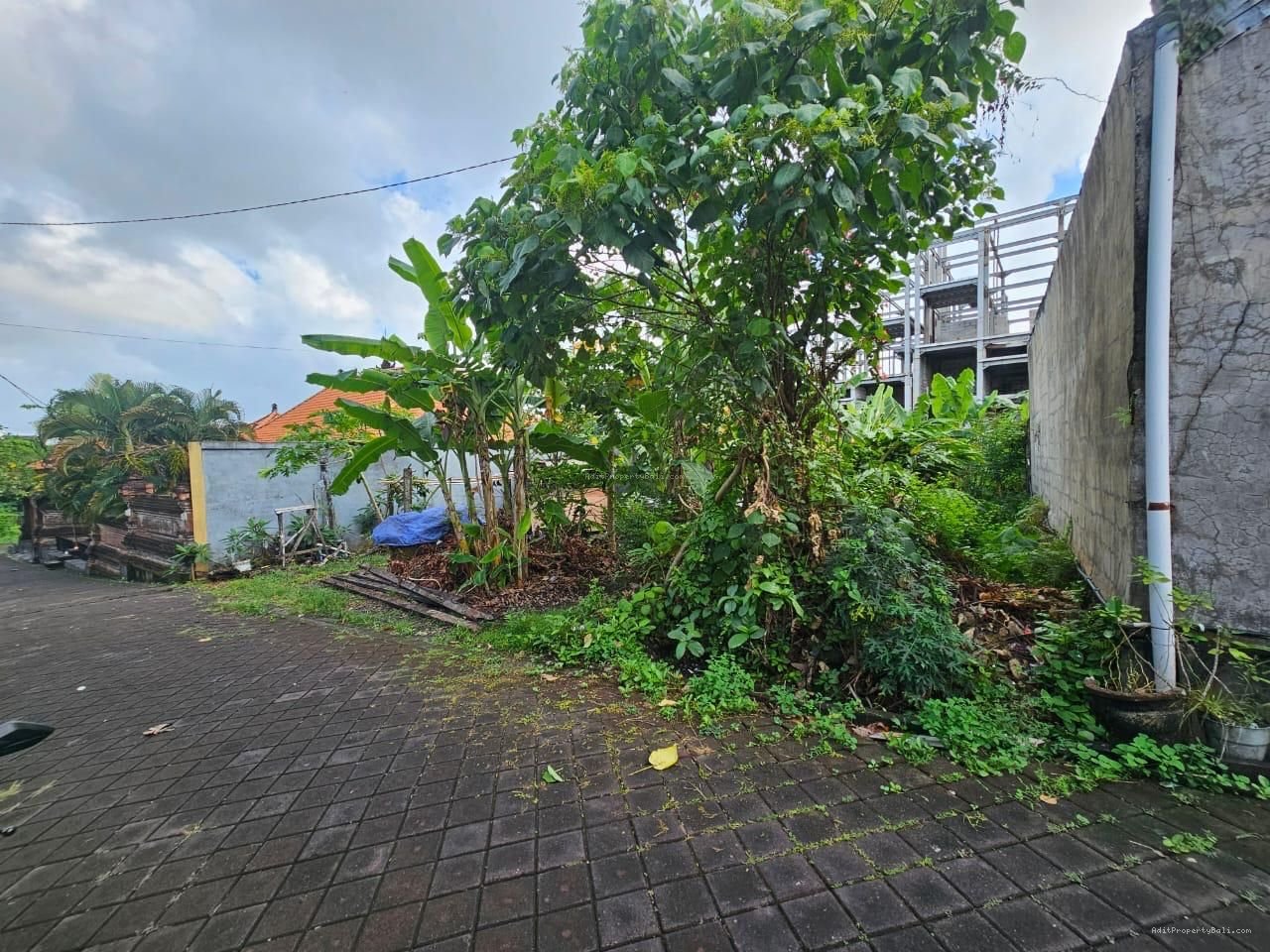Tanah Berawa Canggu Kuta Utara Badung Bali