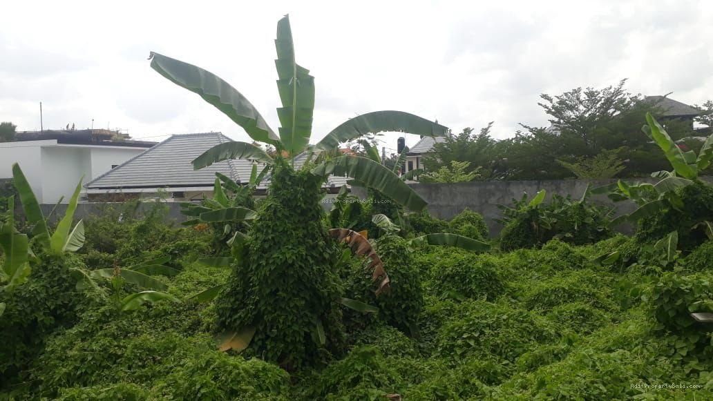 Tanah komersil pantai berawa canggu