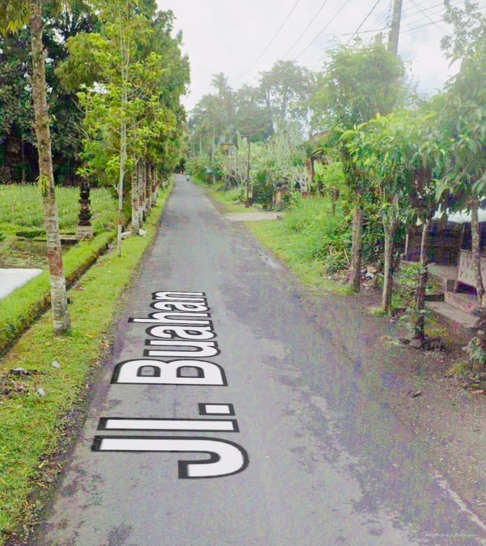 Tanah View Sawah Buahan Tabanan Bali