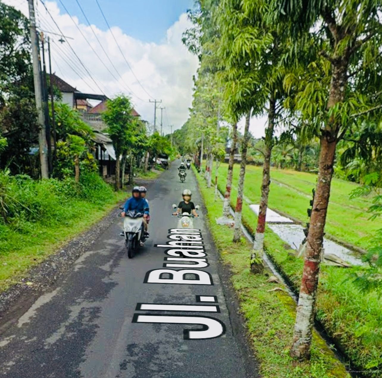 Tanah View Sawah Buahan Tabanan Bali