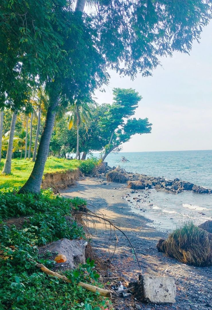 Tanah Murah Beach Front Kubutambahan Buleleng Singaraja Bali