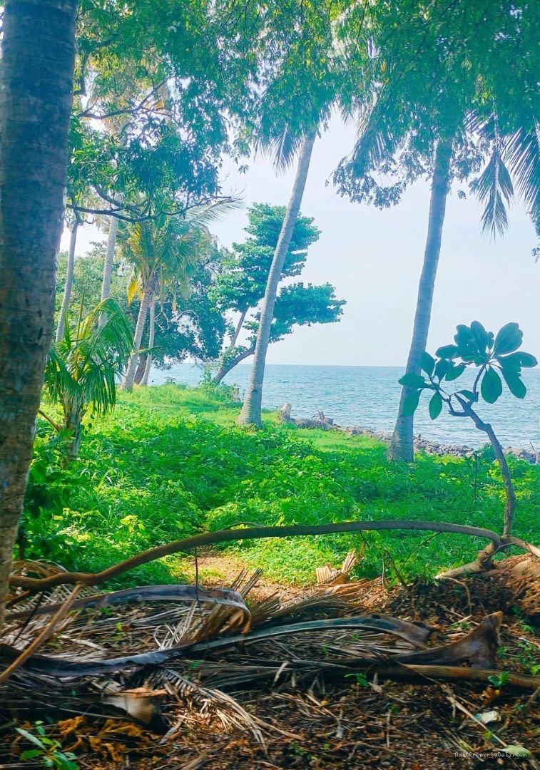 Tanah Murah Beach Front Kubutambahan Buleleng Singaraja Bali