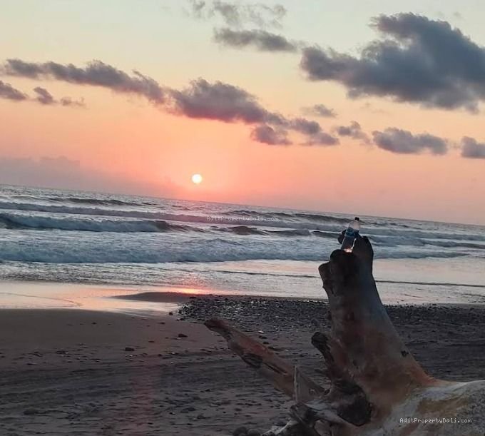 Tanah Los Pantai Pasut Tabanan Bali