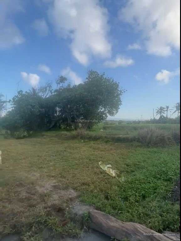 Tanah Los Pantai Pasut Tabanan Bali