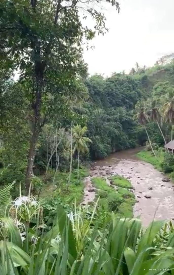 Tanah Los Sungai Kedewatan Ubud Gianyar