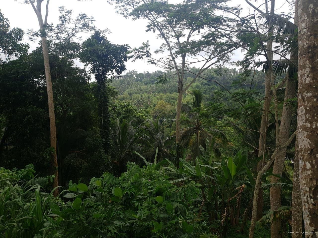 Tanah Los Sungai Kedewatan Ubud Gianyar