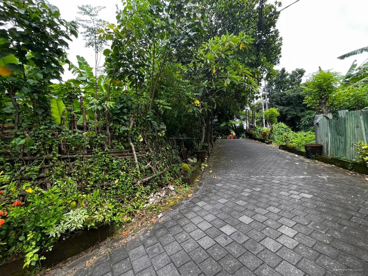 Tanah raya puputan renon