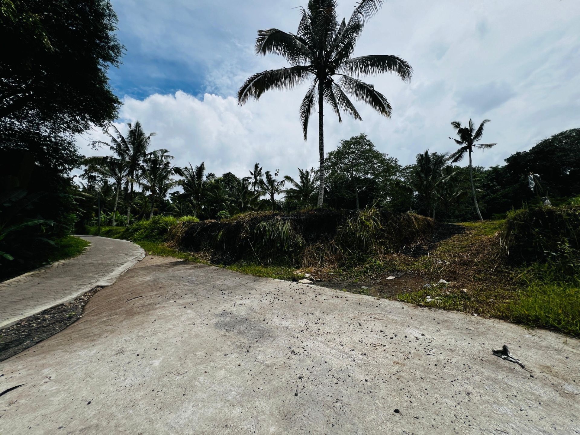 Tanah jungle payangan ubud bali