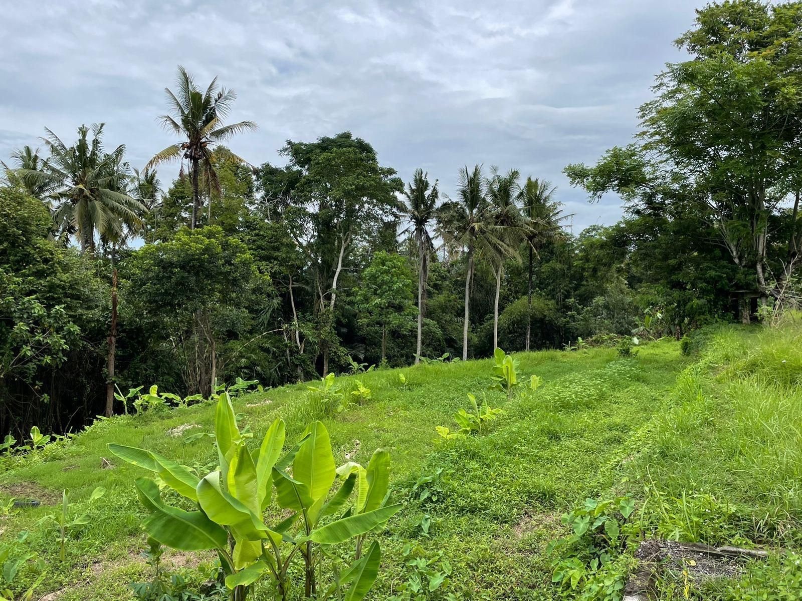 Tanah Singapadu Denpasar Bali