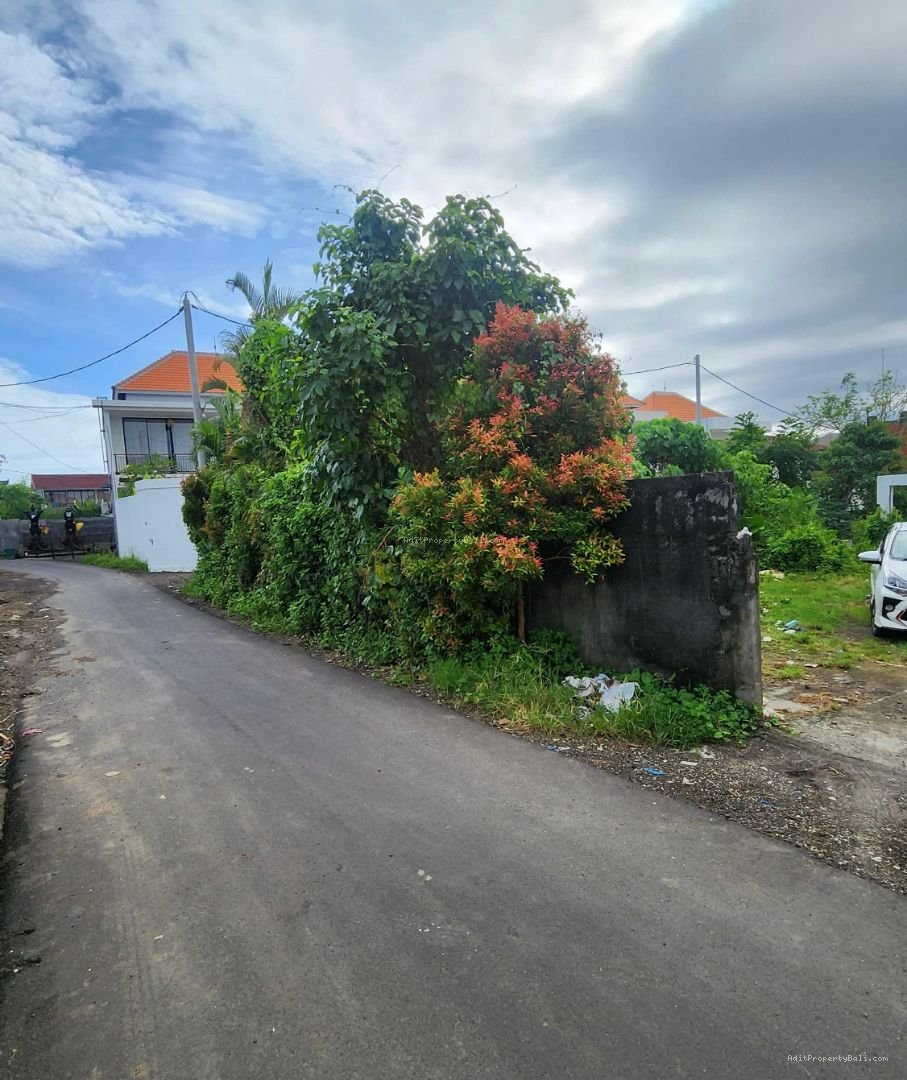 Tanah jantuk angsa pererenan badung bali