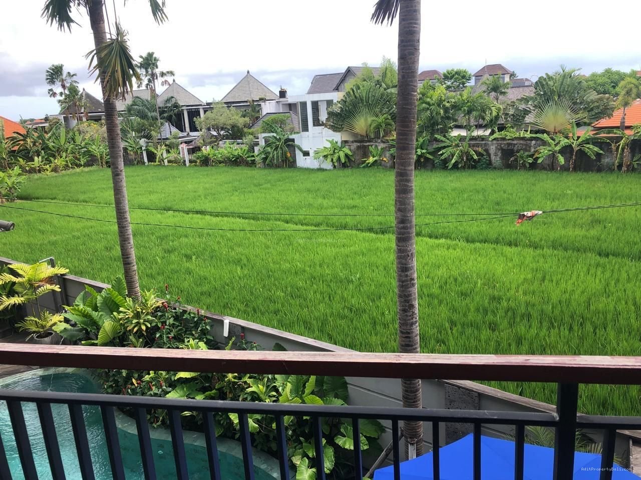 Guesthouse Tegal Cupek Kerobokan