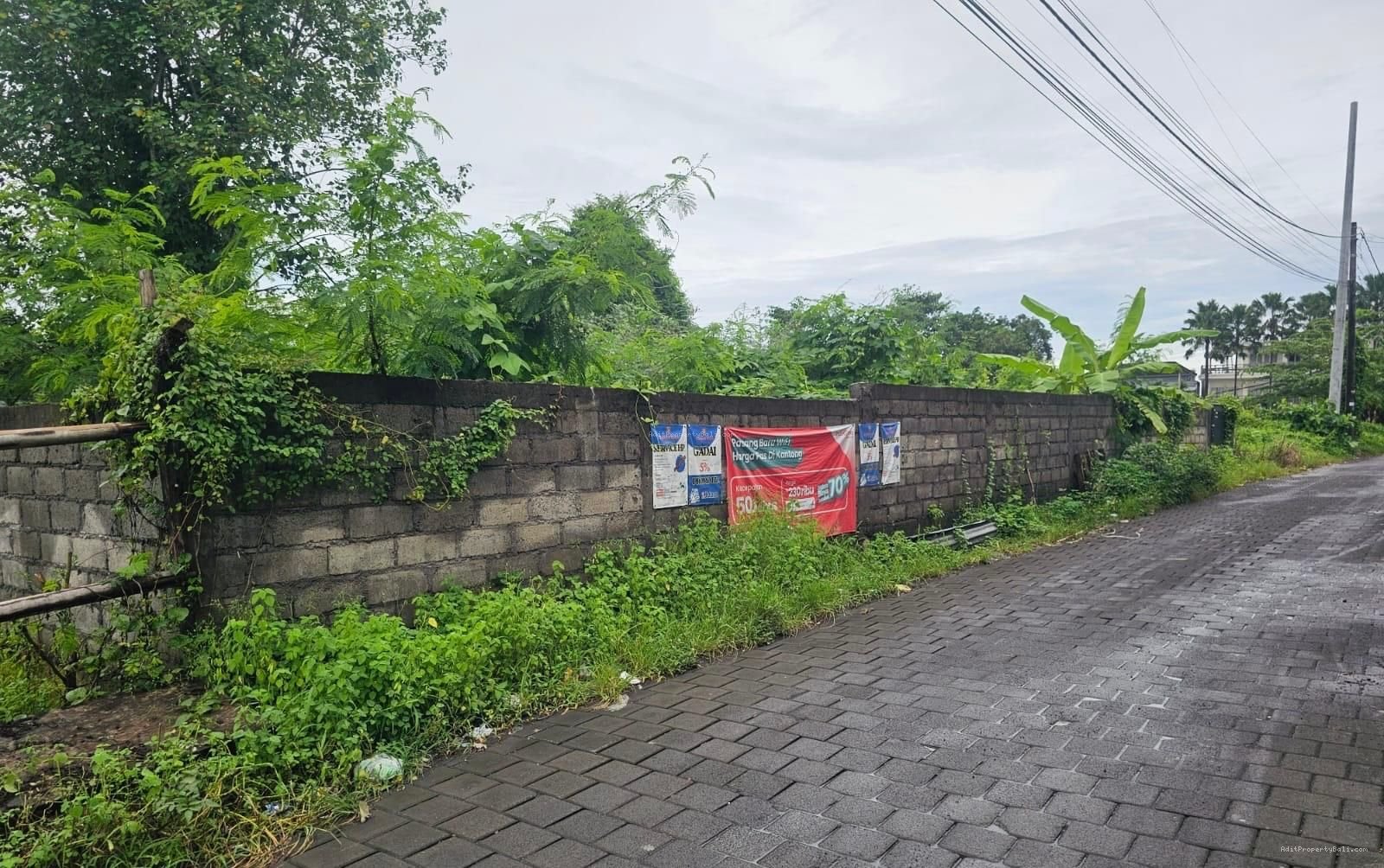 Tanah lingkungan bagus munggu