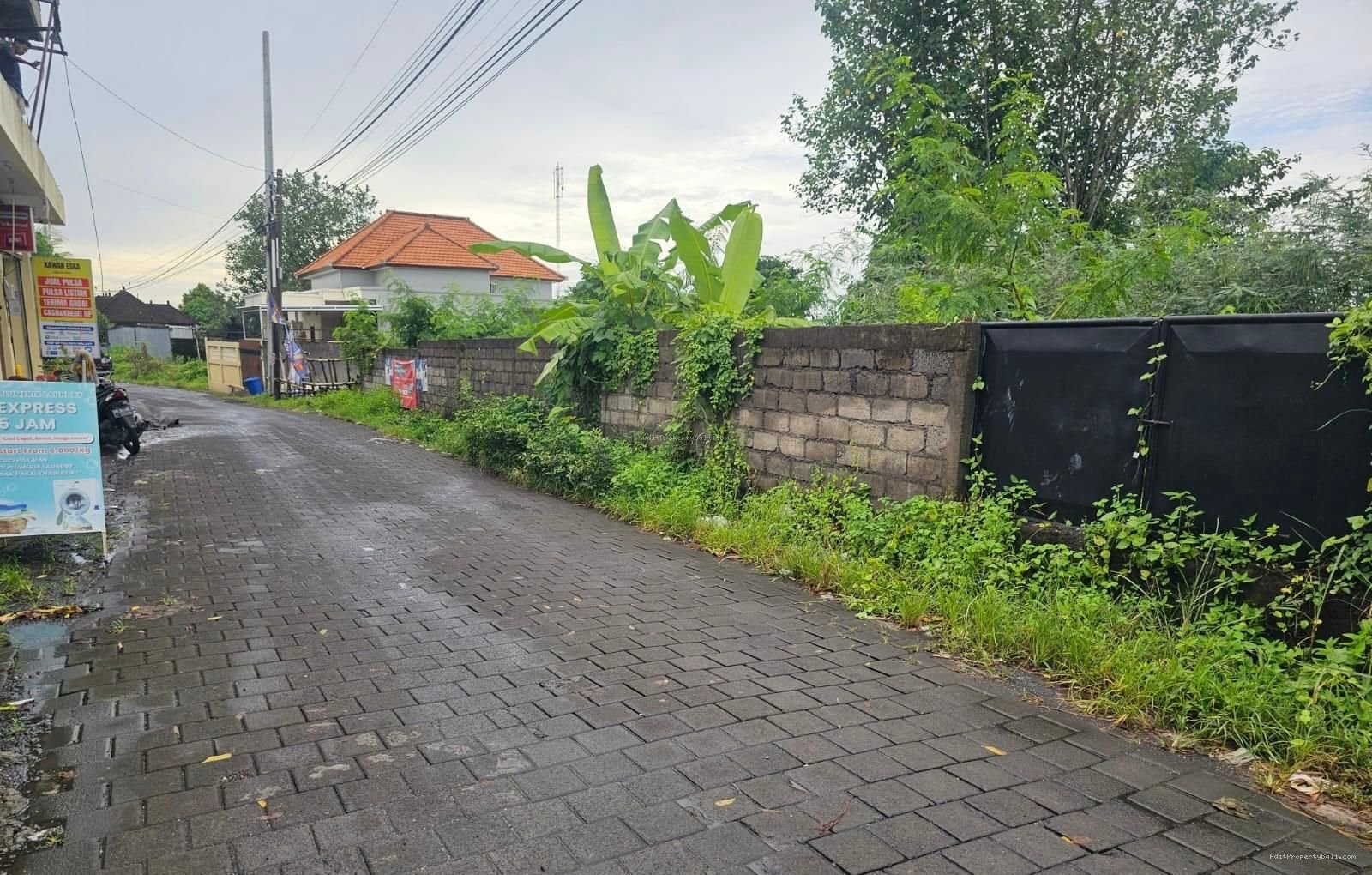 Tanah lingkungan bagus munggu
