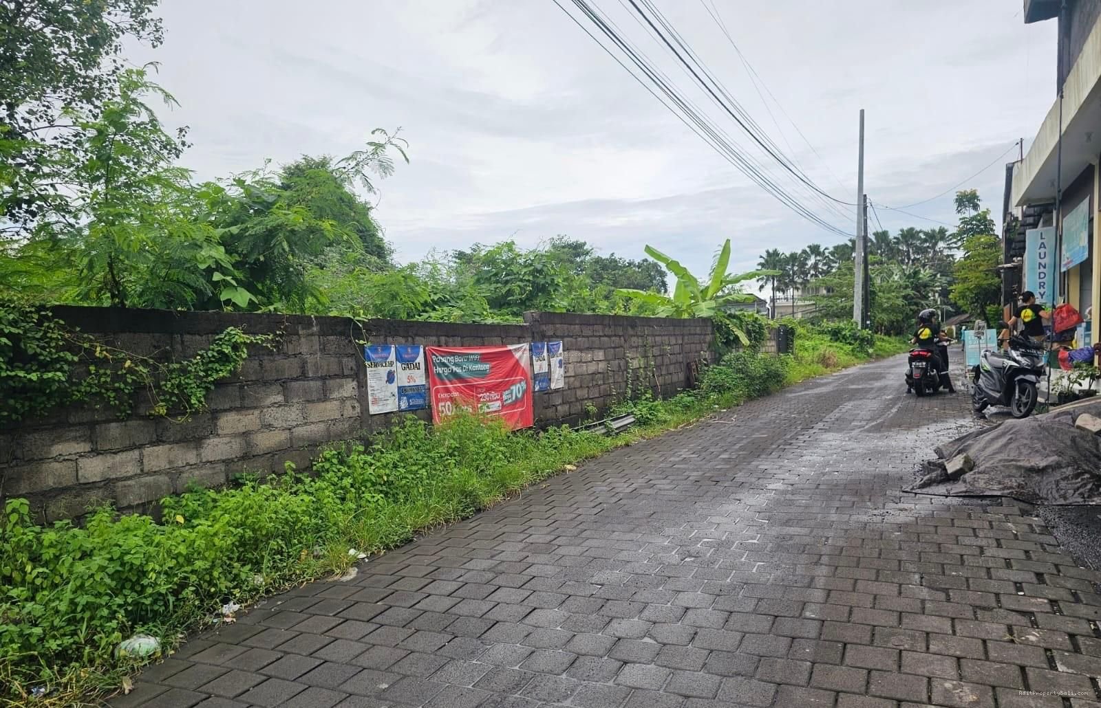 Tanah lingkungan bagus munggu