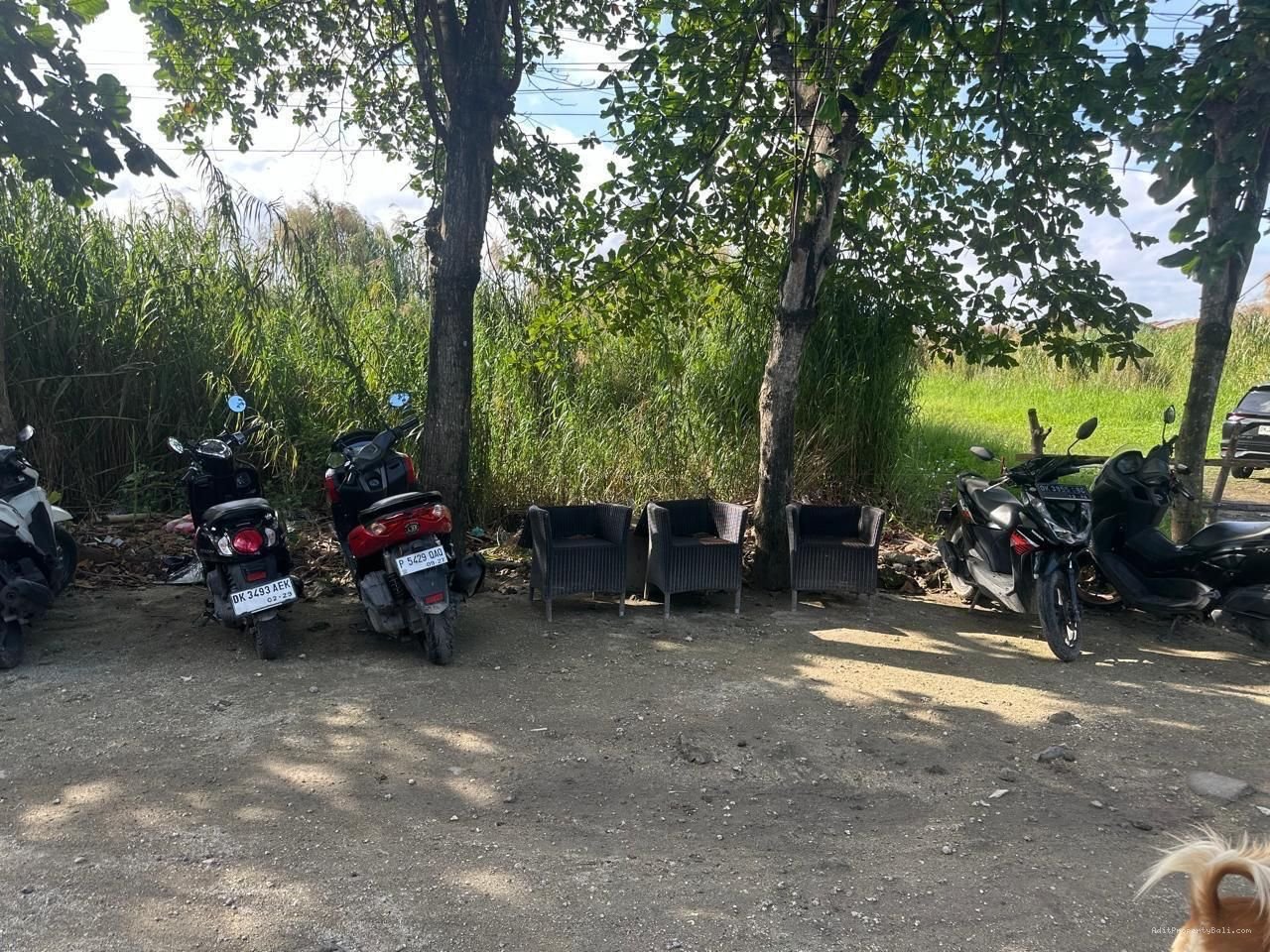 Tanah Prime Jatayu Nakula Pemecutan Bali