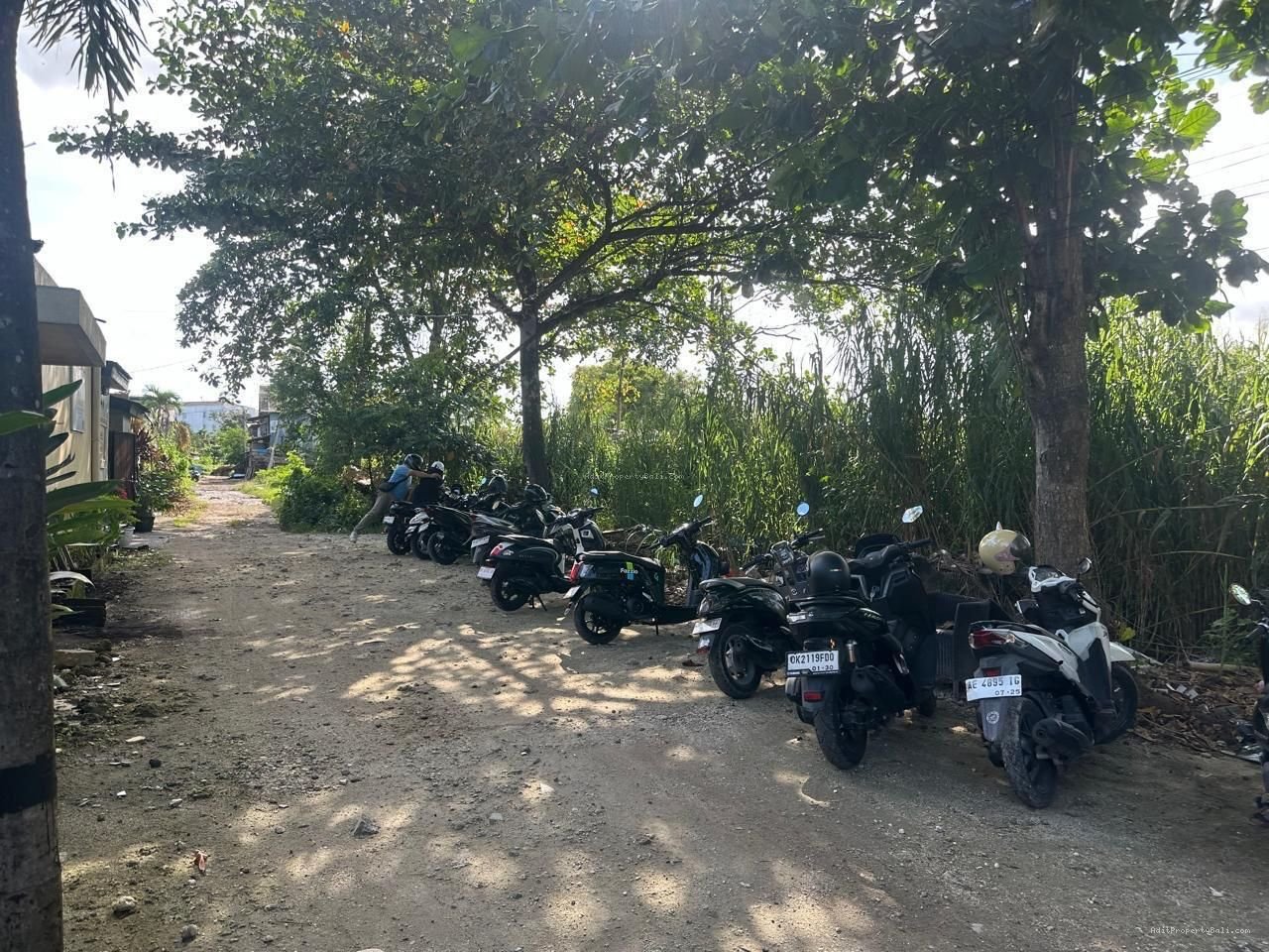 Tanah Prime Jatayu Nakula Pemecutan Bali