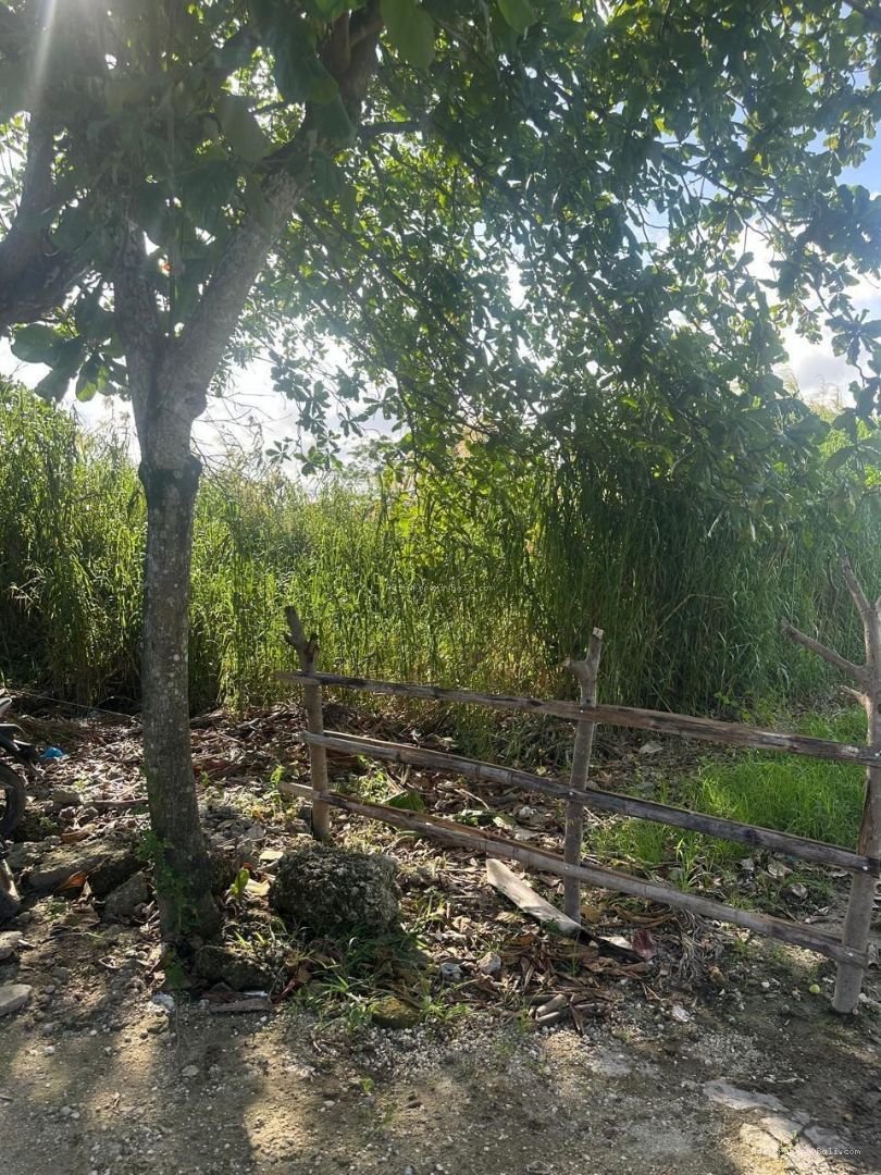 Tanah Prime Jatayu Nakula Pemecutan Bali