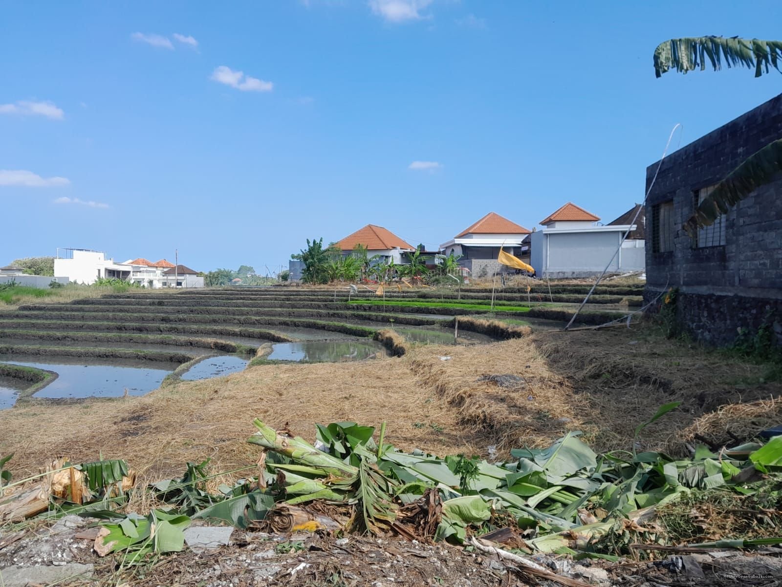 Tanah View Sawah Kayu Tukang Utara Canggu Bali