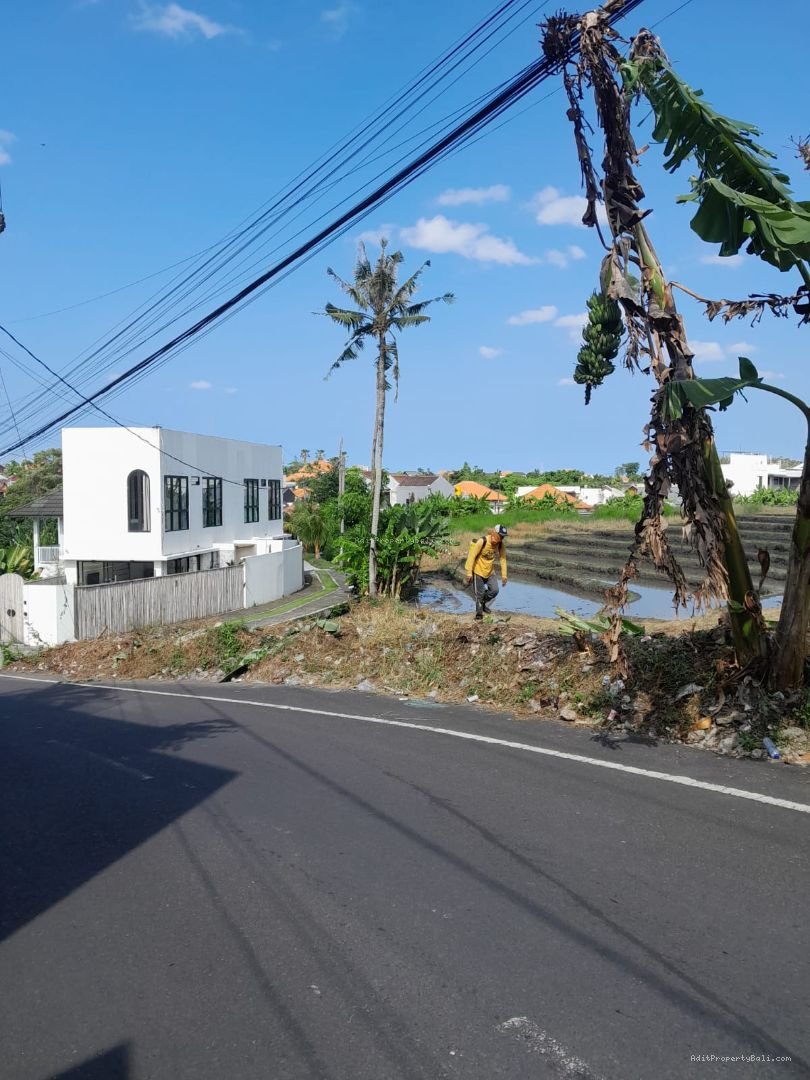 Tanah View Sawah Kayu Tukang Utara Canggu Bali