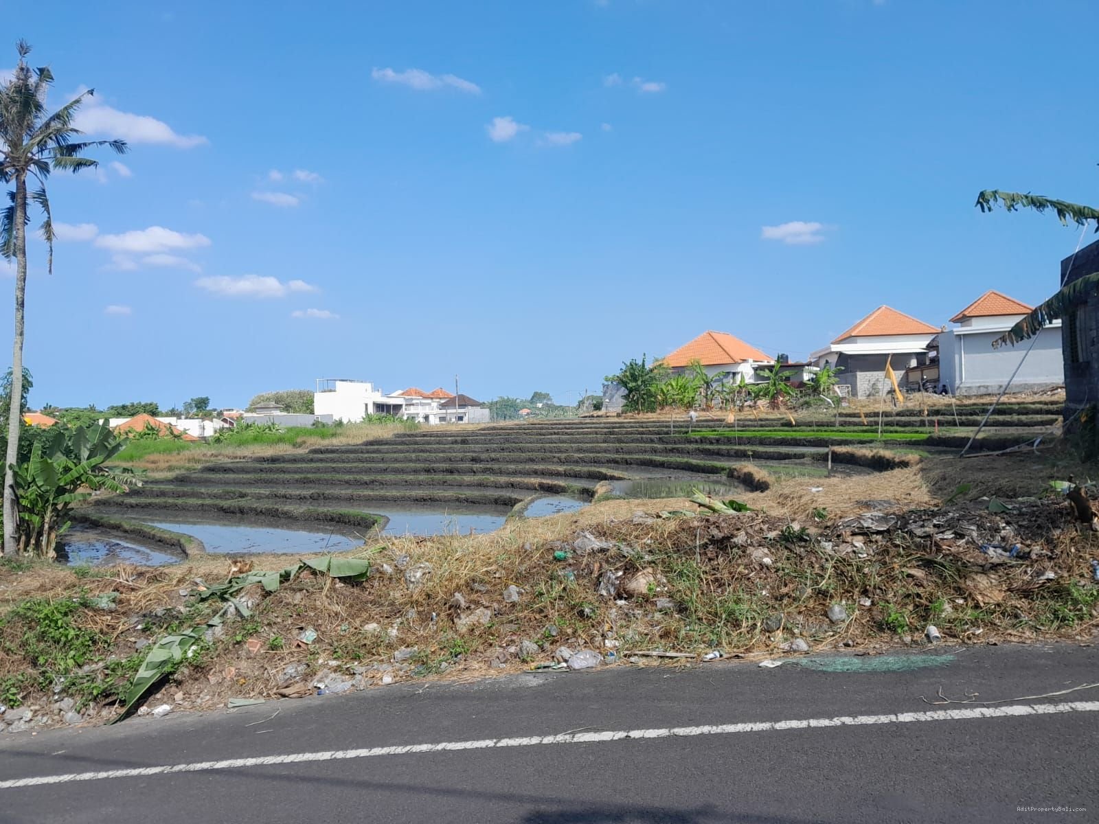 Tanah View Sawah Kayu Tukang Utara Canggu Bali