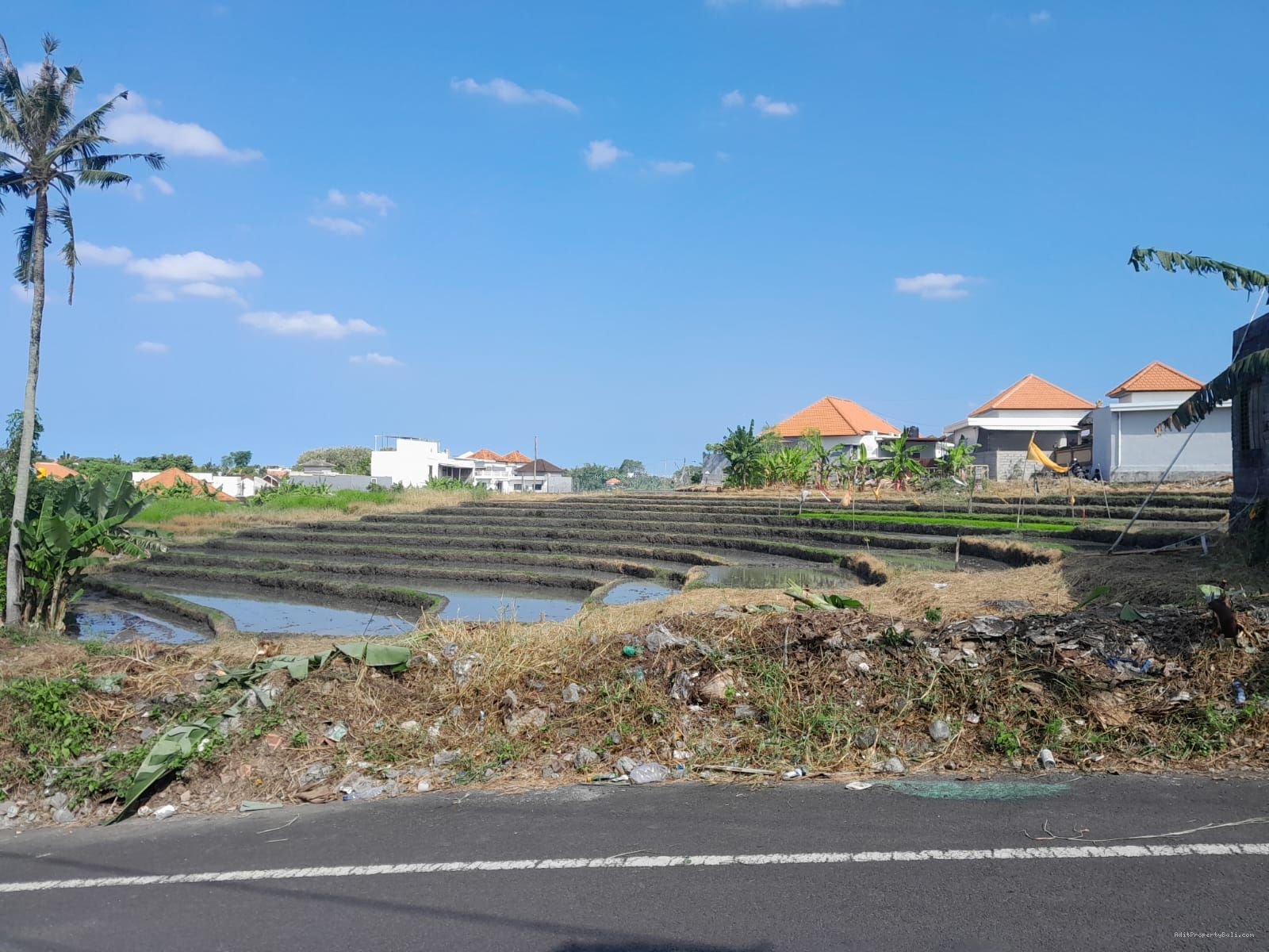 Tanah View Sawah Kayu Tukang Utara Canggu Bali