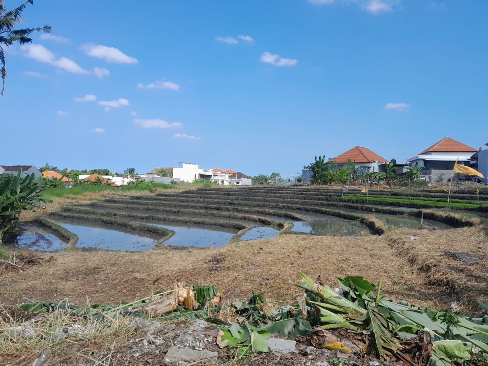 Tanah View Sawah Kayu Tukang Utara Canggu Bali