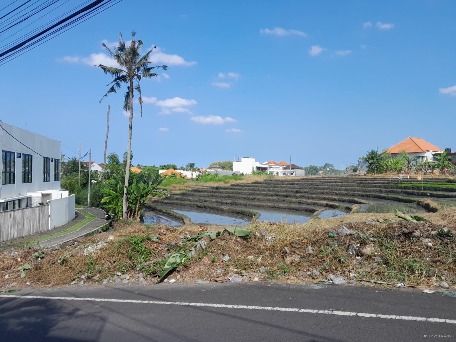 Tanah View Sawah Kayu Tukang Utara Canggu Bali