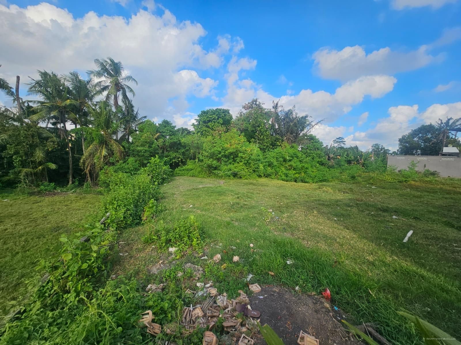 Tanah cepaka tabanan