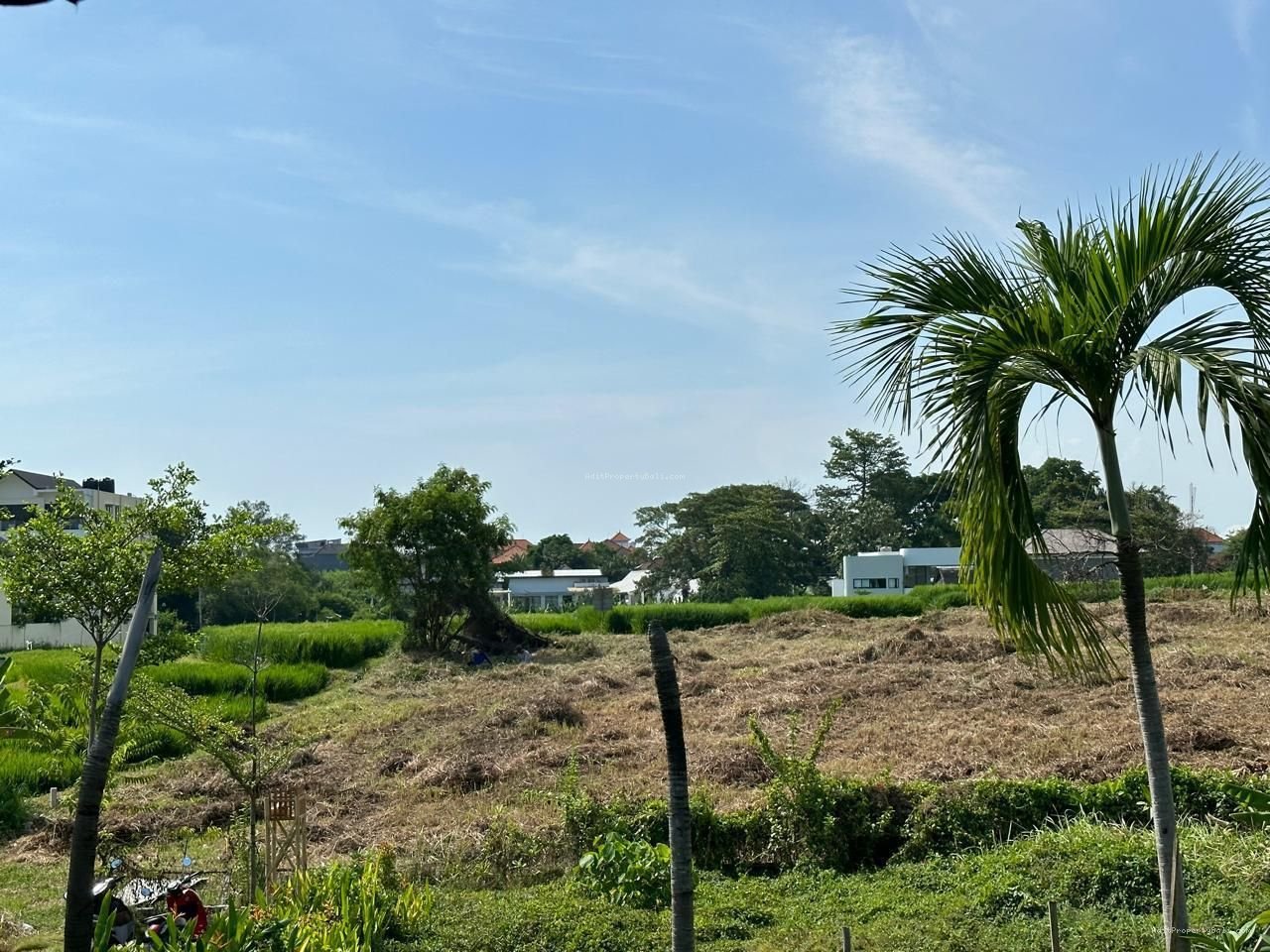 Tanah Berawa Canggu Bali