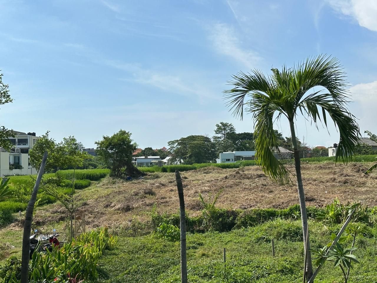 Tanah Berawa Canggu Bali