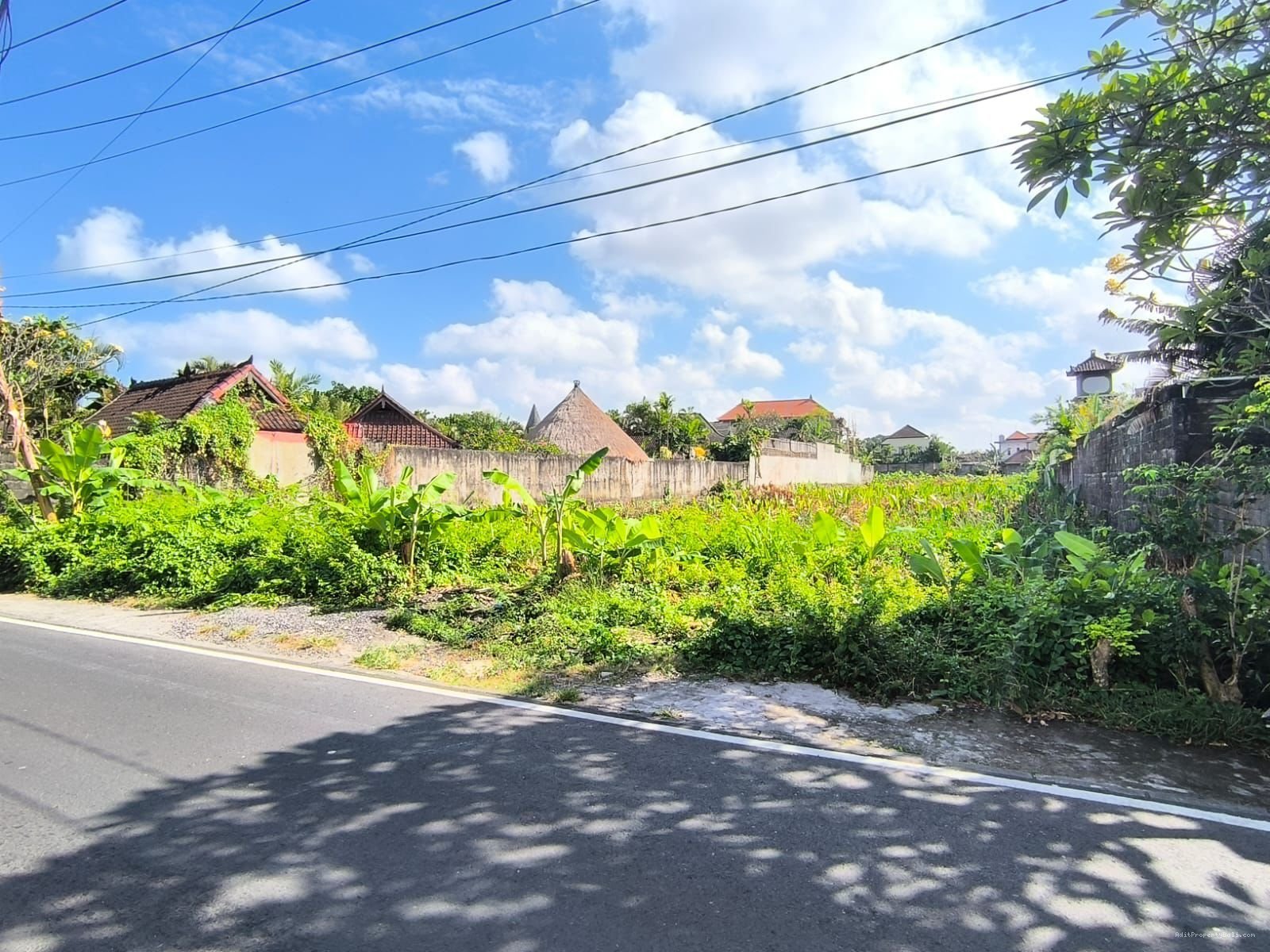 Tanah belong seminyak bali