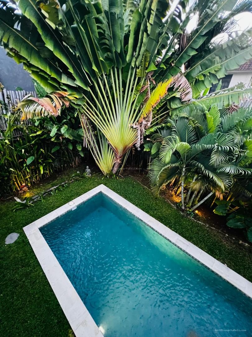 Villa bagus seminyak bali
