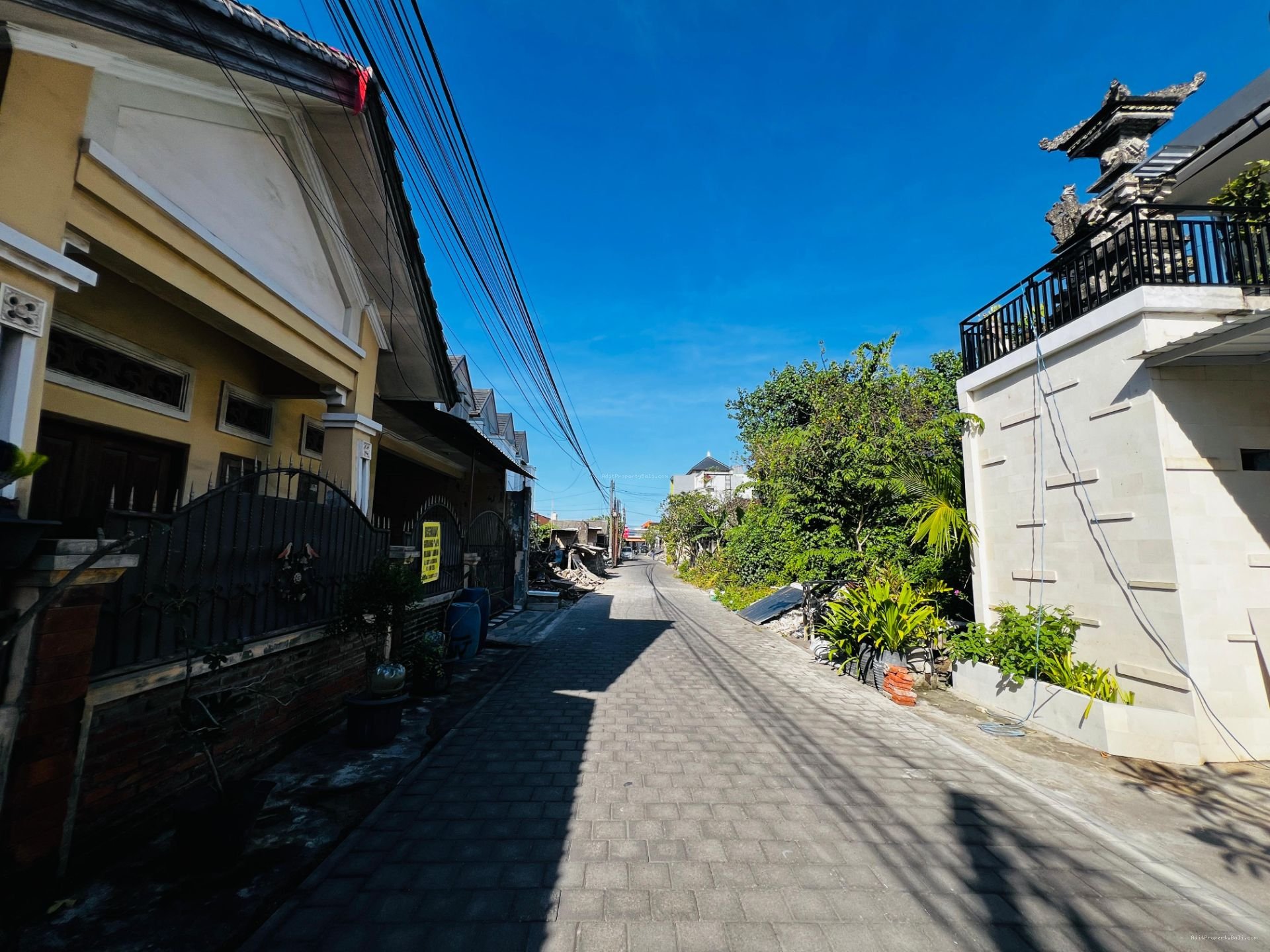 Kos Gelogor Carik Denpasar Selatan