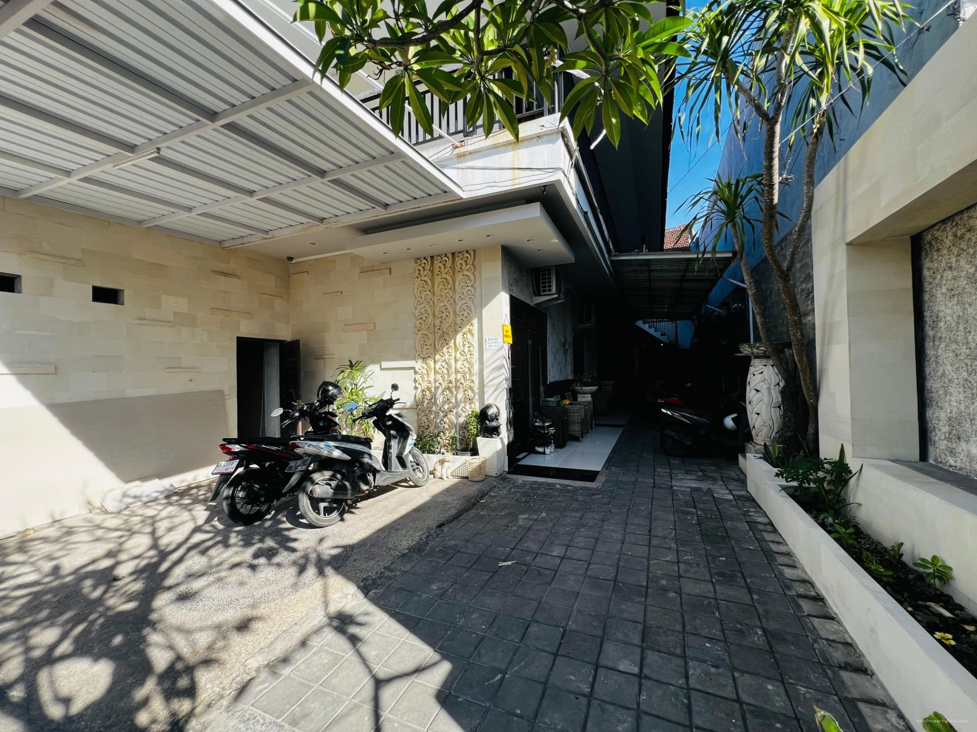 Kos Gelogor Carik Denpasar Selatan