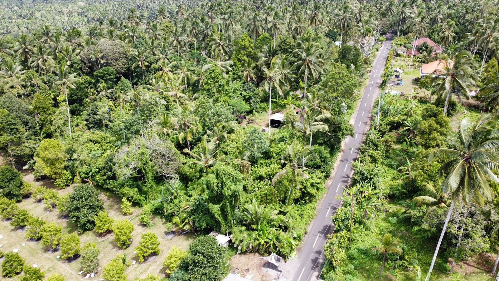 Tanah Gunung Salak Tabanan Bali