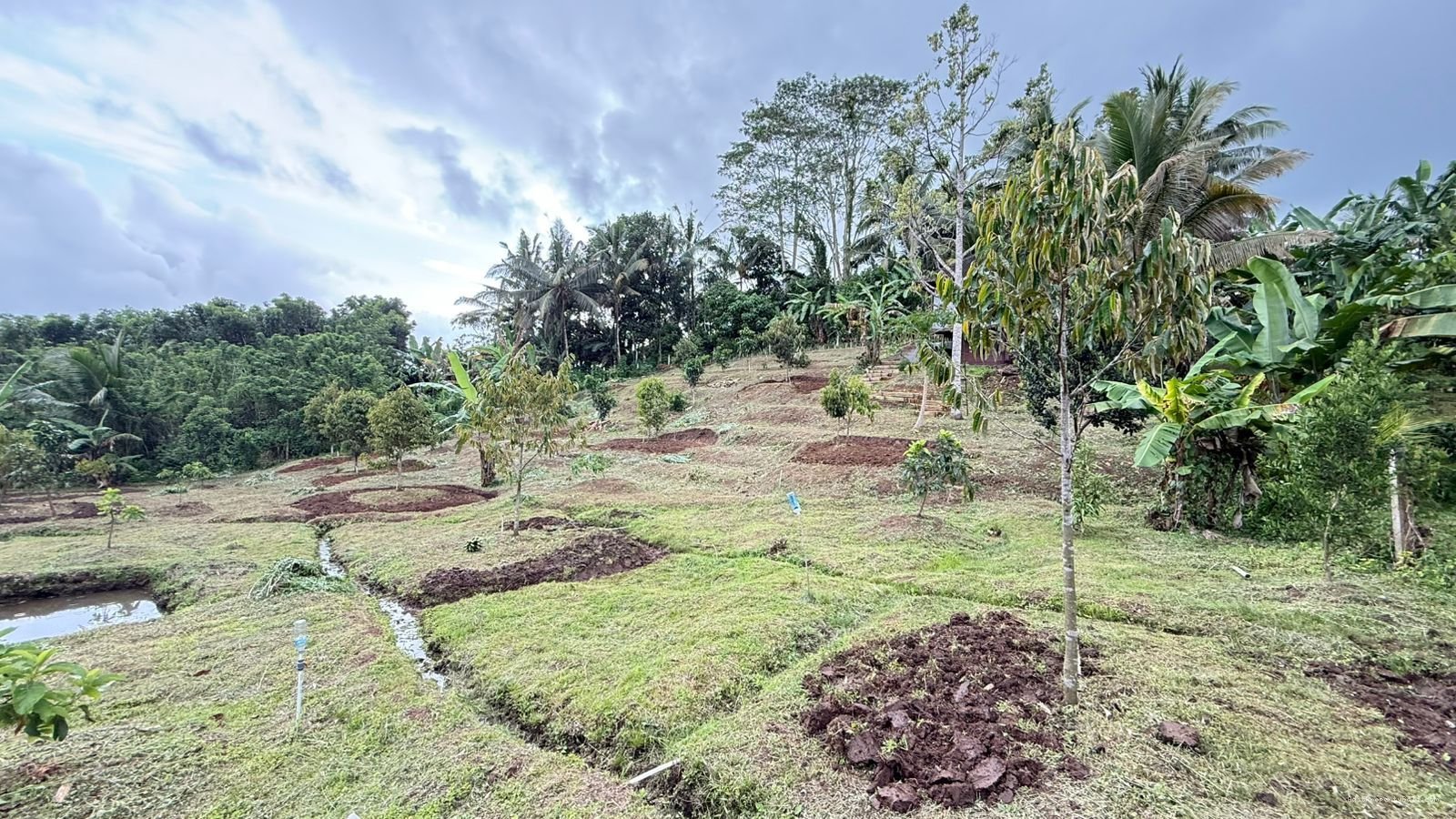 Tanah Desa Wisata Megati Sesandan Tabanan Bali