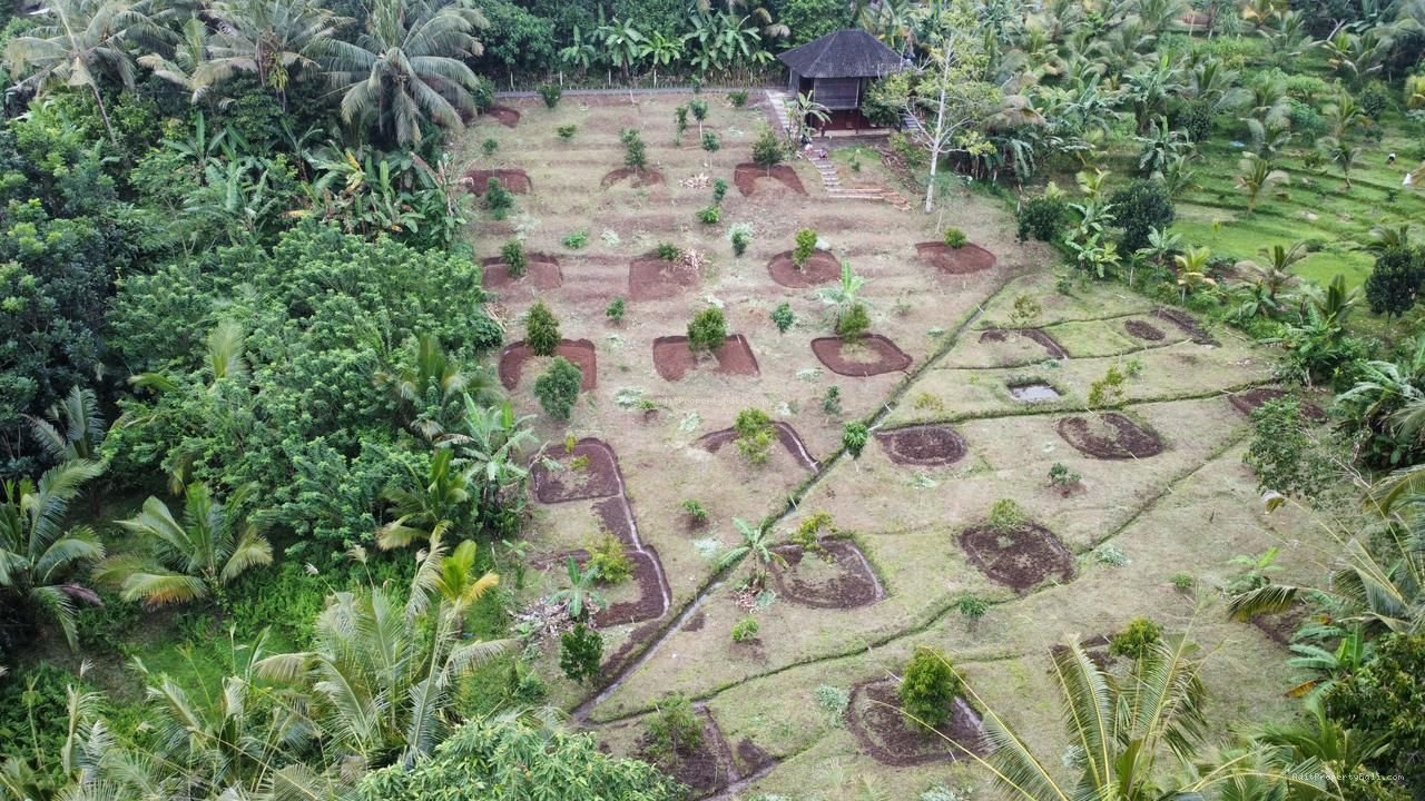 Tanah Desa Wisata Megati Sesandan Tabanan Bali