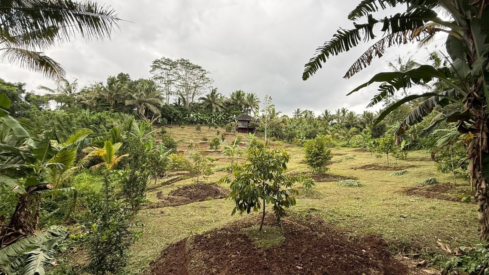 Tanah Desa Wisata Megati Sesandan Tabanan Bali