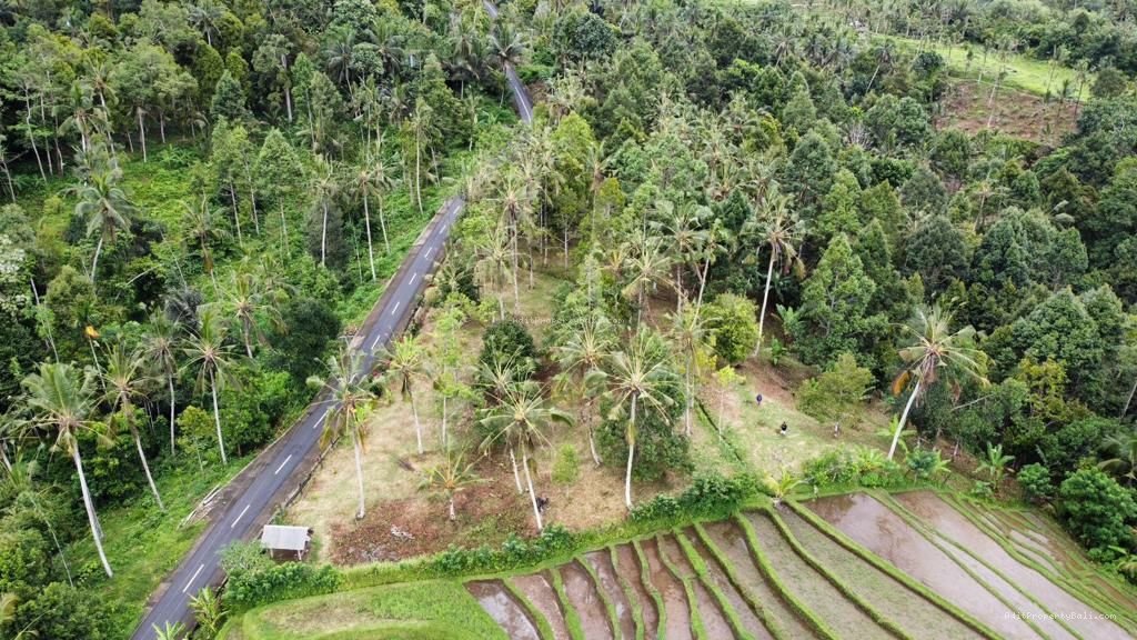 Tanah Gunung Salak Tabanan